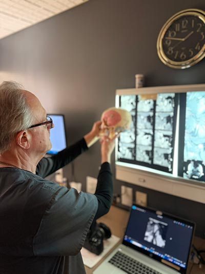 Vita Head, Neck   Facial Pain Relief Center | Periodontal Disease, Teeth Whitening and Full Mouth Reconstruction